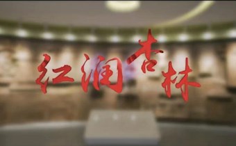 “红润杏林”宣传片